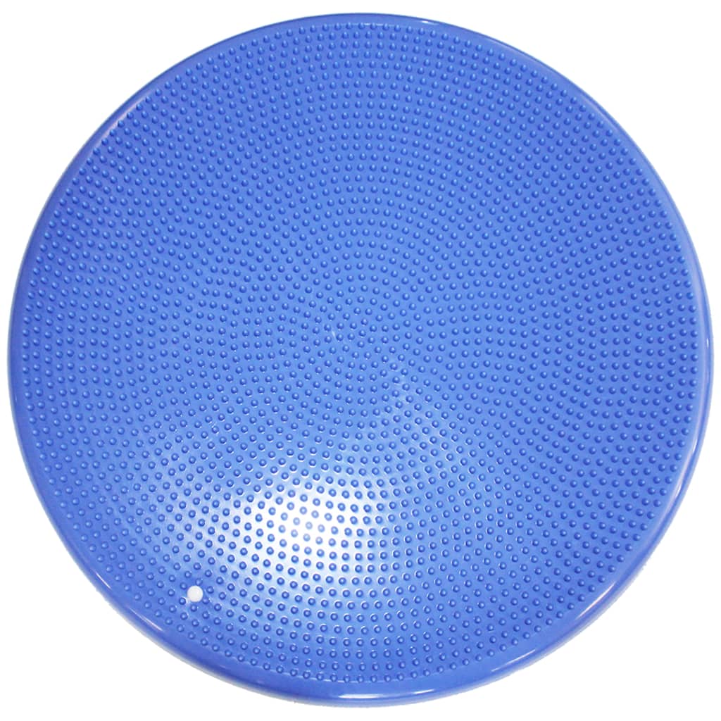 Pet Balance Disc 36 cm Blue