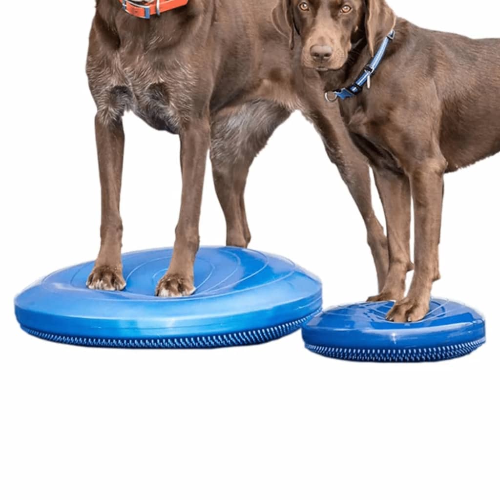 Pet Balance Disc 36 cm Blue