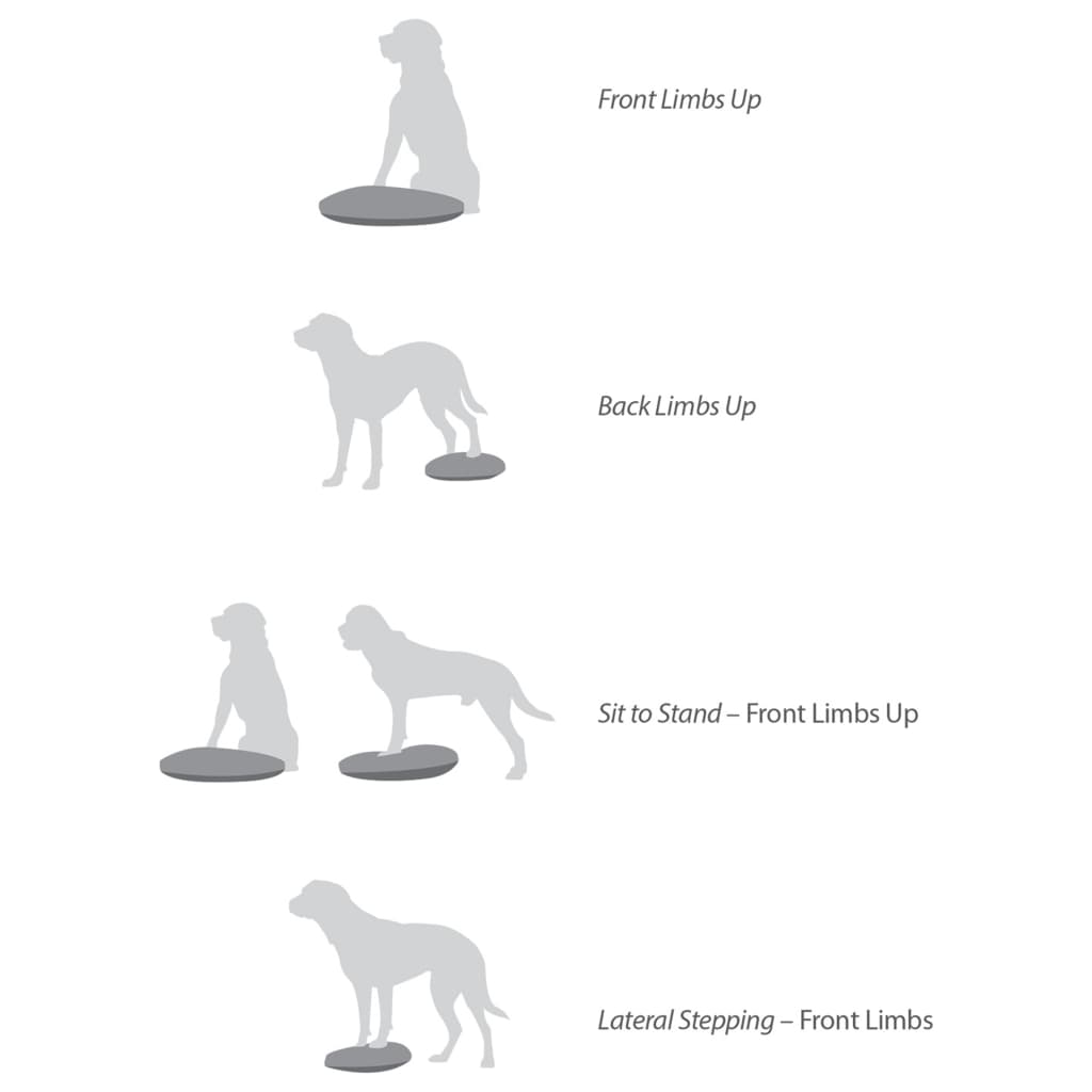Pet Balance Disc 36 cm Blue