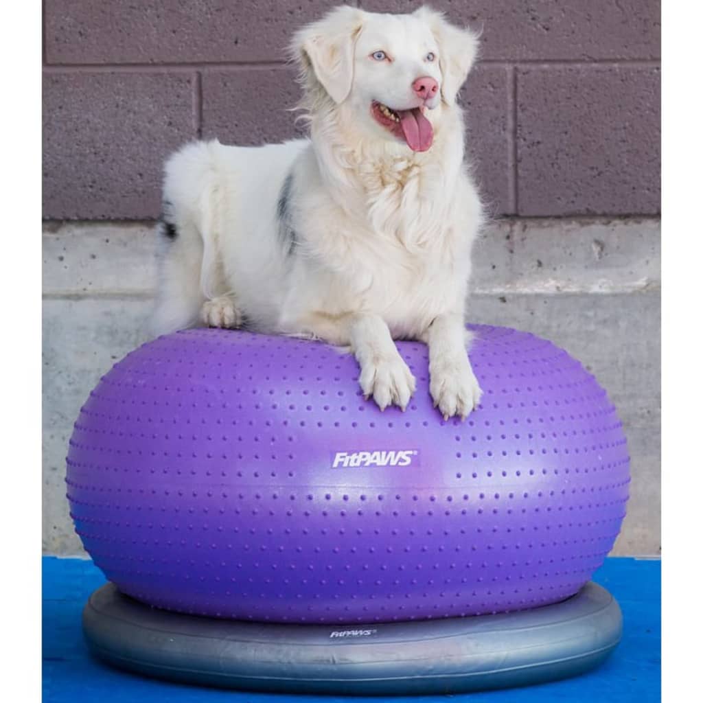 Pet Balance Ball TRAX Donut 55 cm Purple