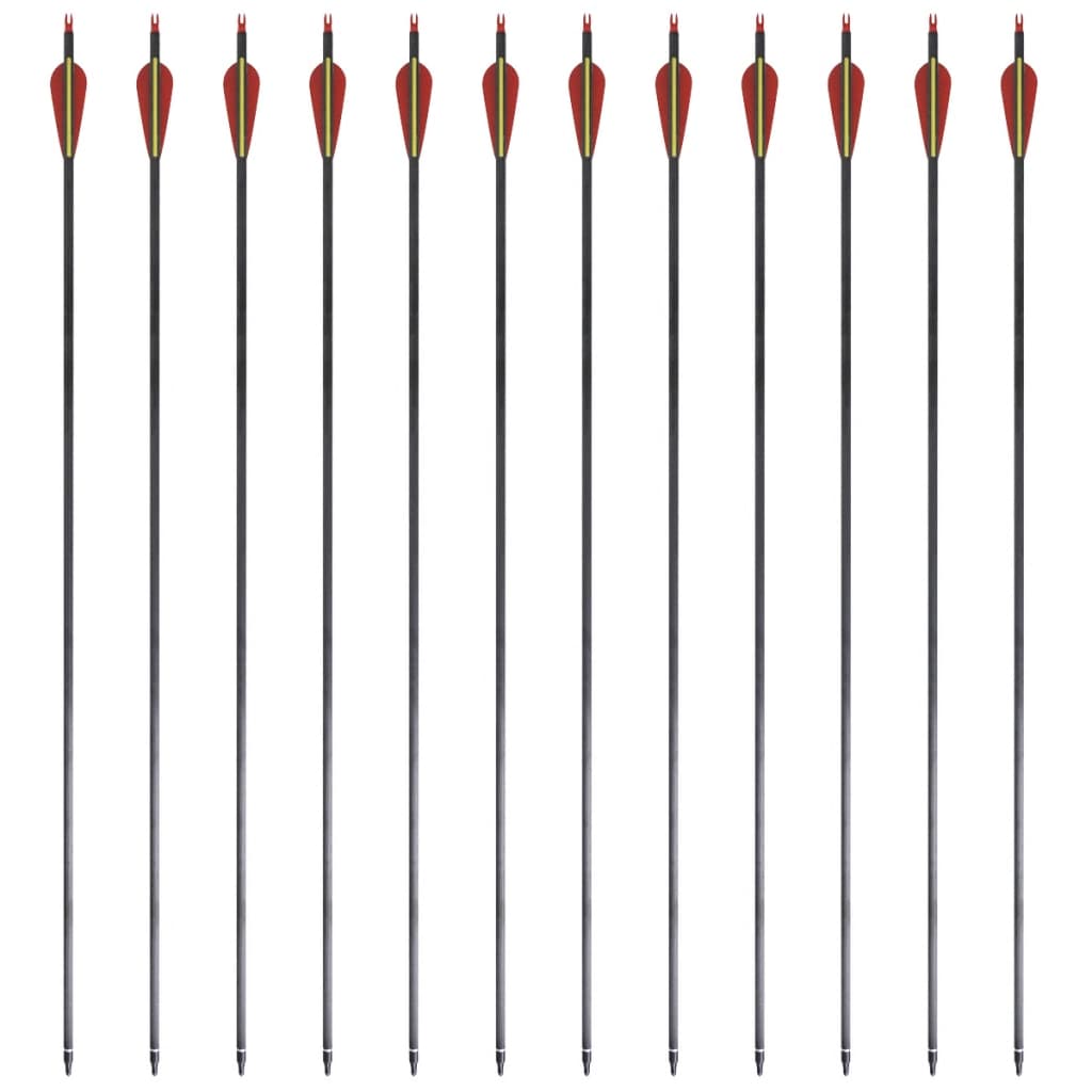 Standard Recurve Bow Arrows 30" 0.76 cm Carbon 12 pcs