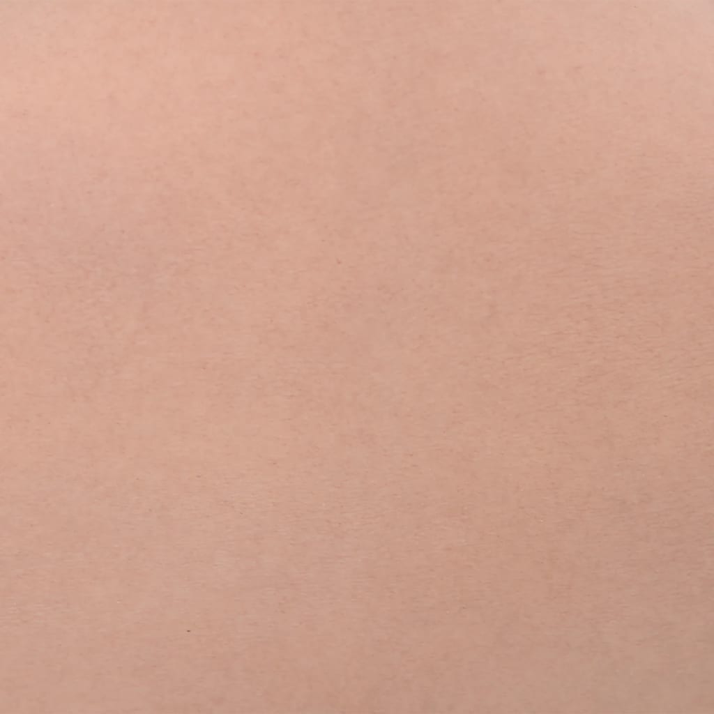Silicone Breastplate Natural C Cup