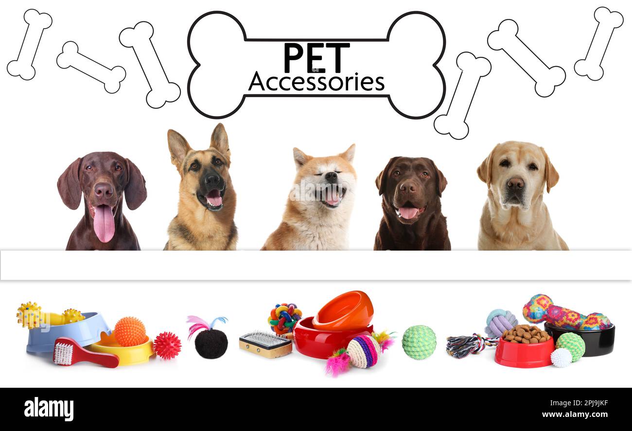 Animal & Pet Supplies