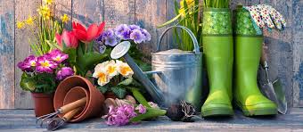 Home & Garden