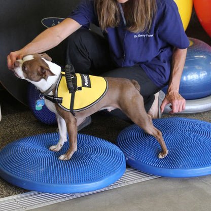 Pet Balance Disc 36 cm Blue