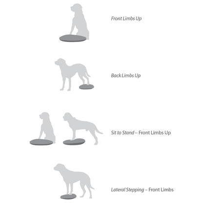 Pet Balance Disc 36 cm Blue