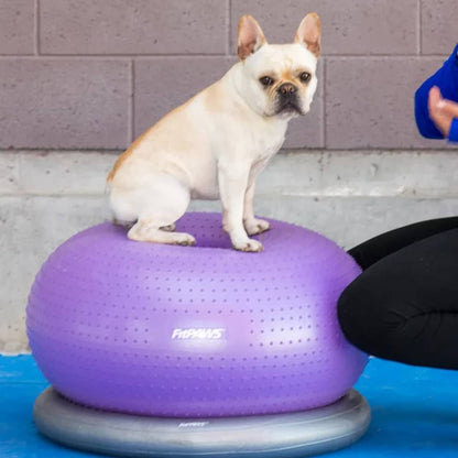 Pet Balance Ball TRAX Donut 55 cm Purple