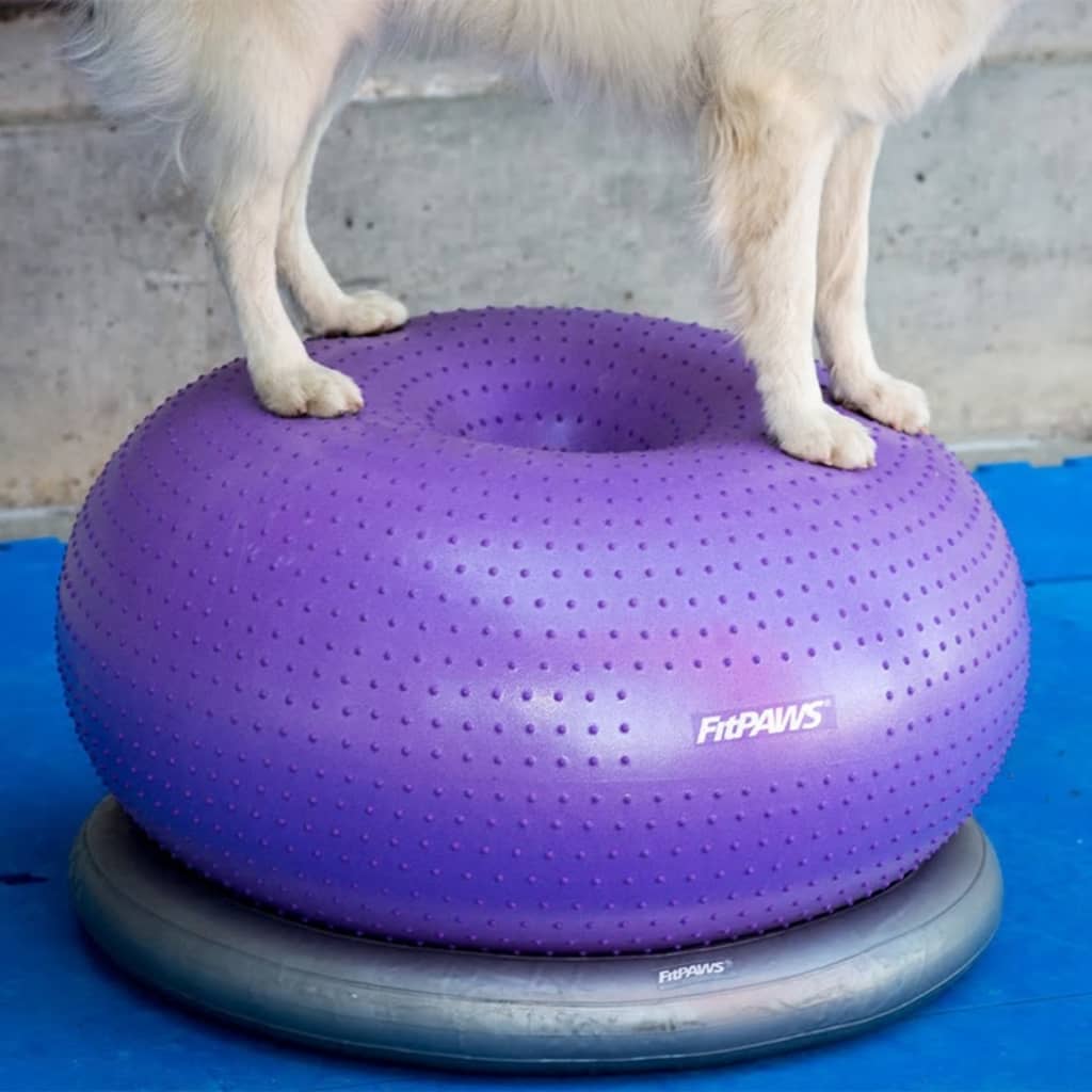 Pet Balance Ball TRAX Donut 55 cm Purple