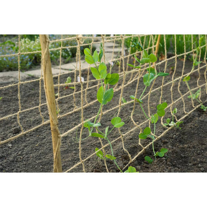 Plant Climbing Netting Jute 1.8x5 m Natural