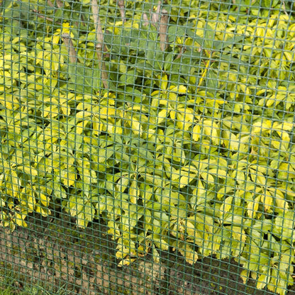 Garden Screen Square Mesh 20x20 mm 1x3 m Green