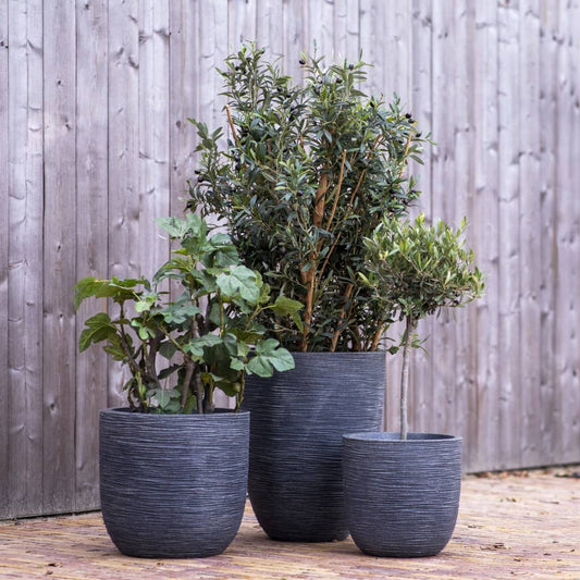 Elegant Vase Low Waste Rib 46x58 cm Grey