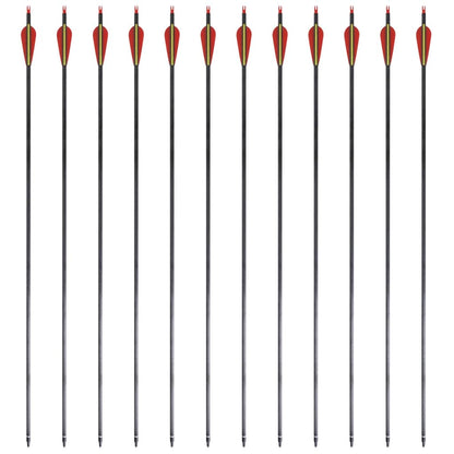 Standard Recurve Bow Arrows 30" 0.76 cm Carbon 12 pcs