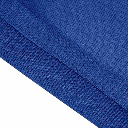 Tent Carpet 250x550 cm Blue