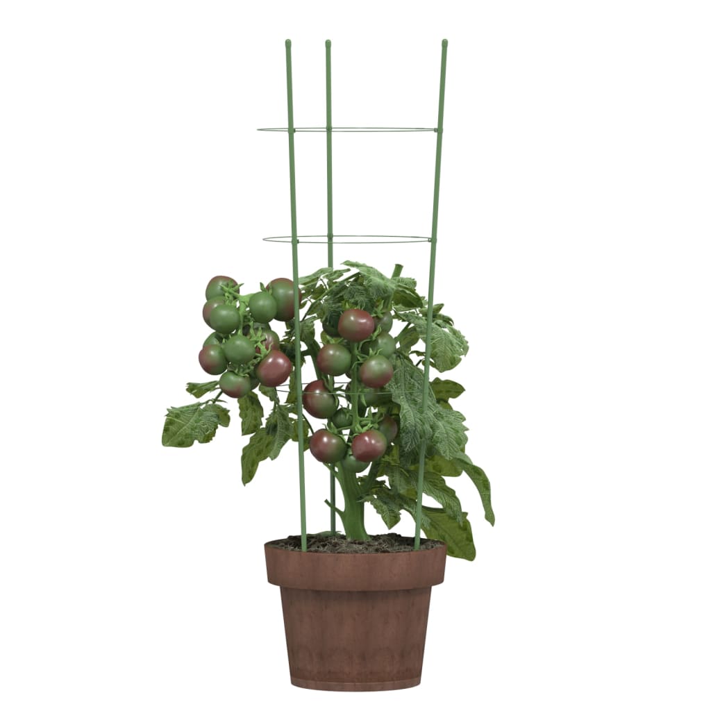 Garden Plant Supports with 3 Rings 5 pcs Green 60 cm Steel