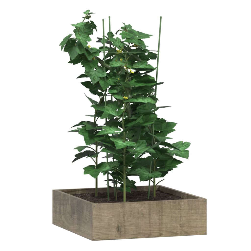 Garden Plant Supports with 3 Rings 5 pcs Green 75 cm Steel