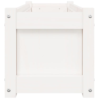 Garden Planters 2 pcs White Solid Wood Pine