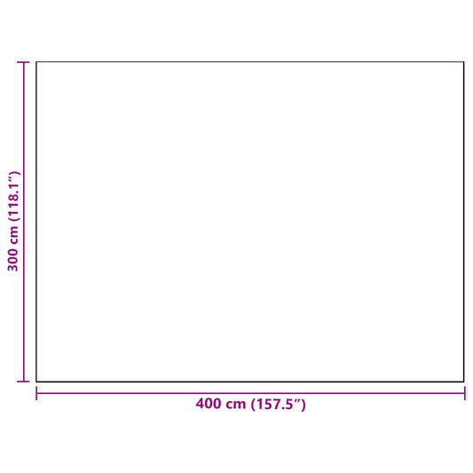 Outdoor Rug ARAKIL Black and White Polyester 300 x 400 cm